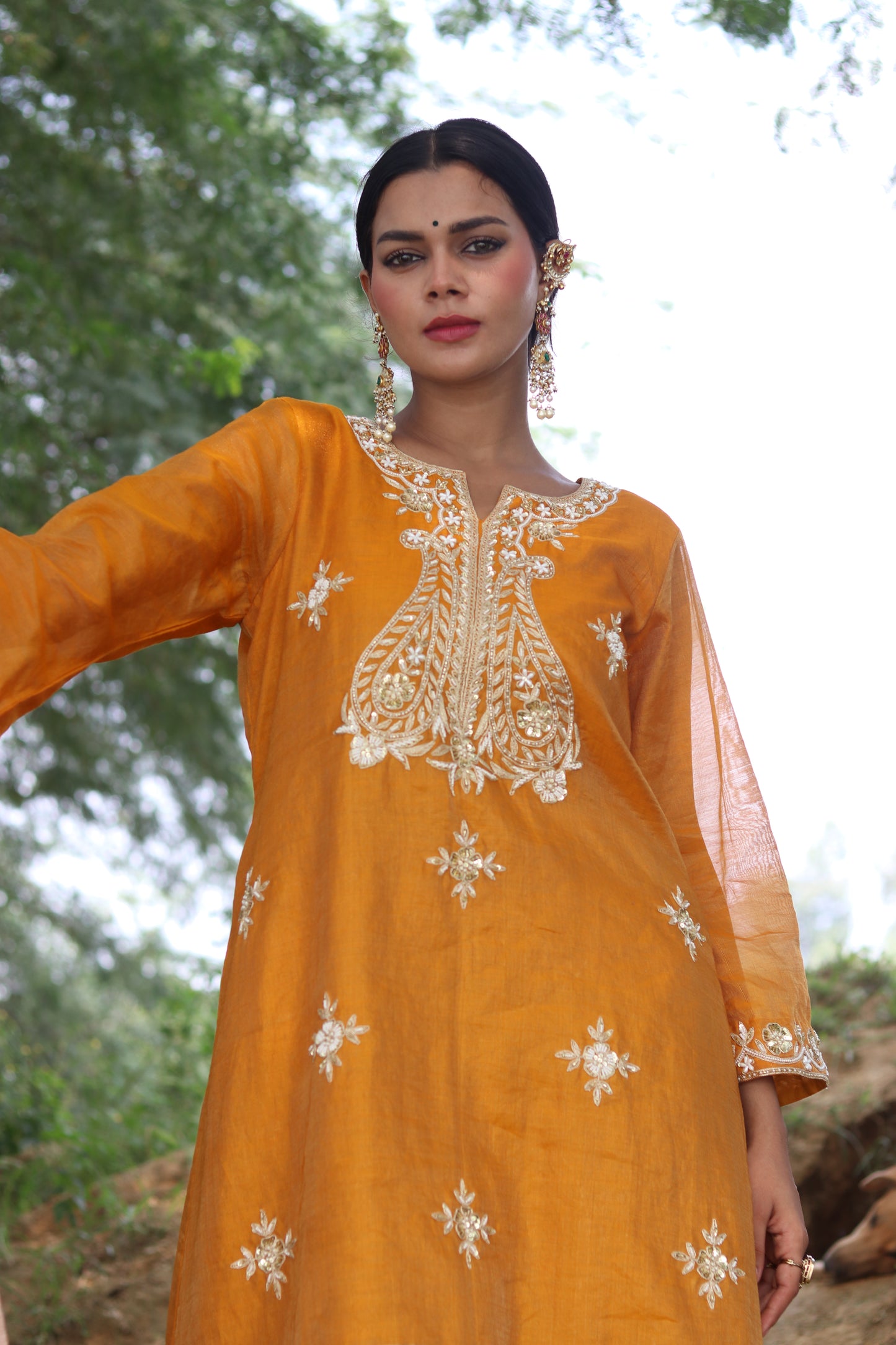 Luxurious Tissue Kurta Set